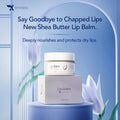 Xemirates Shea Butter Lip Balm | Deep Moisturising Lip Care (15g)